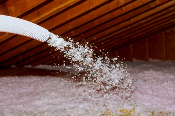 Best Commercial Insulation Services  in Windcrest, TX