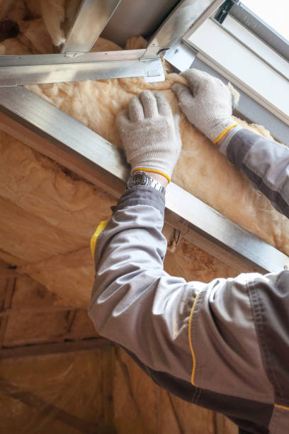 Best Insulation for Metal Buildings  in Windcrest, TX