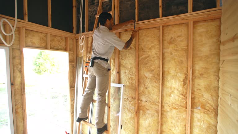 Best Garage Insulation  in Windcrest, TX